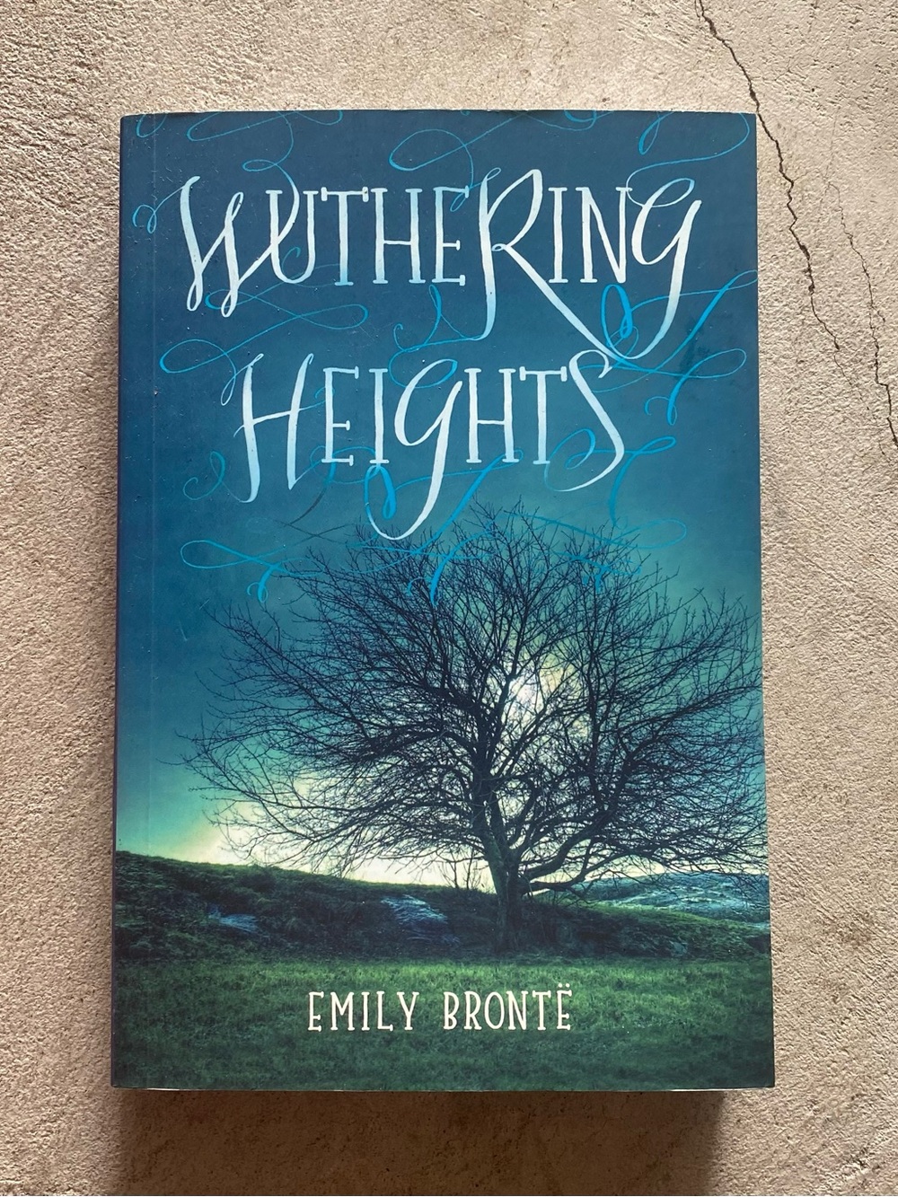 Wuthering Heights Paperback book by Emily Brontë